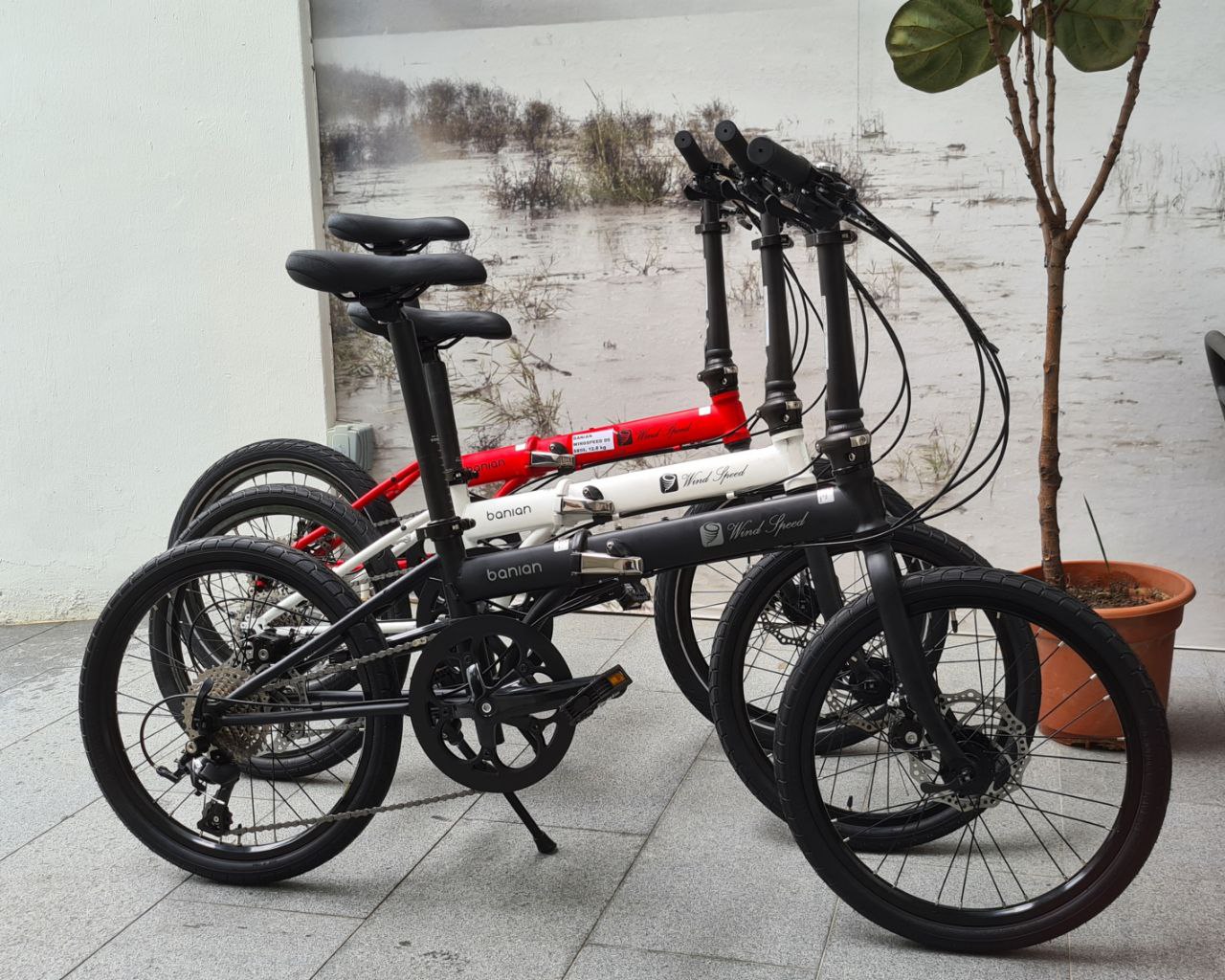 BANIAN Windspeed D9 (EXPORT)