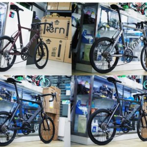 TERN Surge Maxivelo (EXPORT) Clearance