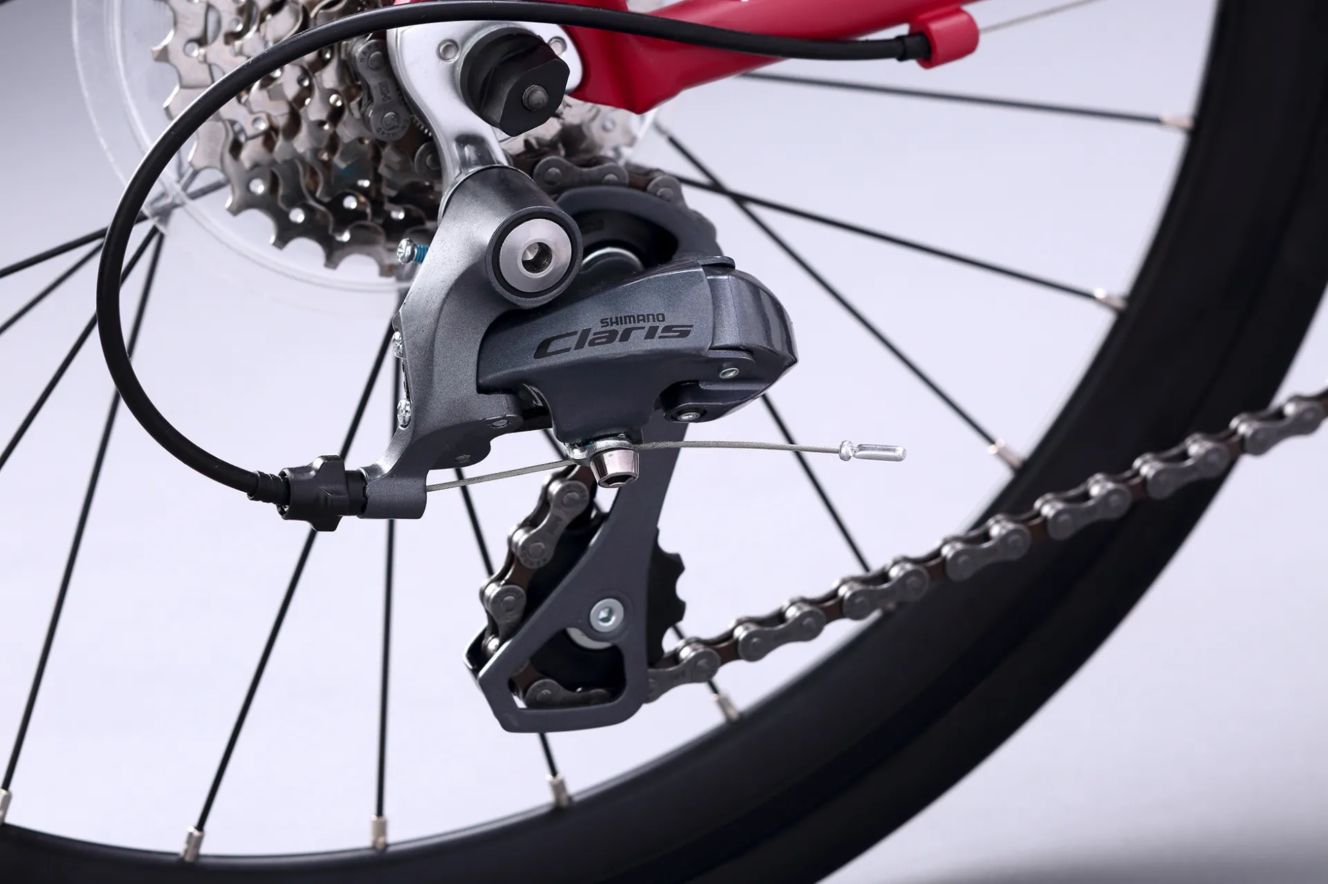 TERN Surge Maxivelo (EXPORT) Clearance - Image 2